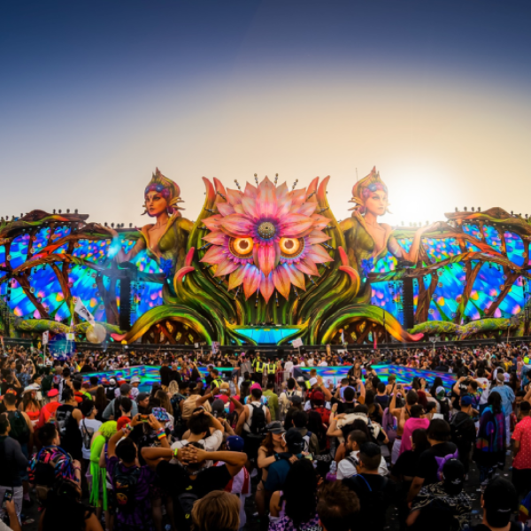 EDC Music Festival (1)